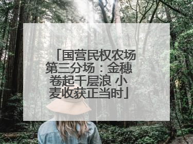 国营民权农场第三分场：金穗卷起千层浪 小麦收获正当时