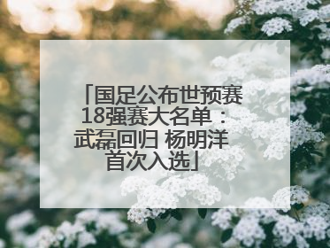 国足公布世预赛18强赛大名单：武磊回归 杨明洋首次入选