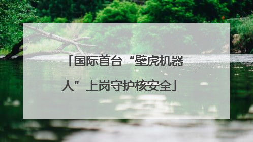 国际首台“壁虎机器人”上岗守护核安全