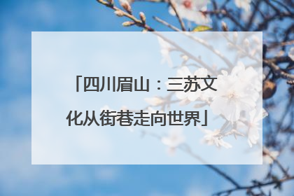 四川眉山：三苏文化从街巷走向世界