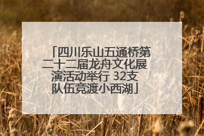 四川乐山五通桥第二十二届龙舟文化展演活动举行 32支队伍竞渡小西湖