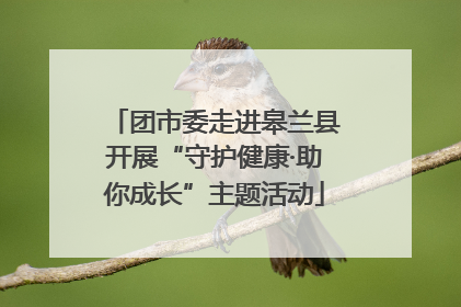 团市委走进皋兰县开展“守护健康·助你成长”主题活动