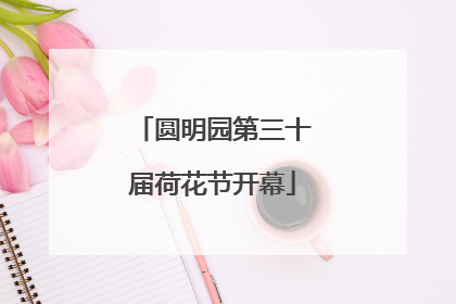 圆明园第三十届荷花节开幕