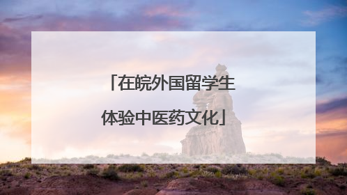 在皖外国留学生体验中医药文化