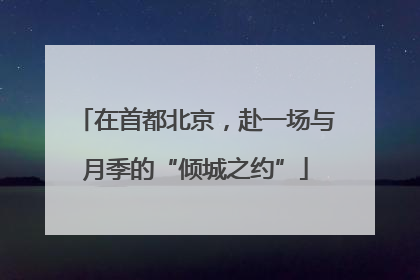 在首都北京，赴一场与月季的“倾城之约”