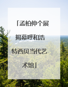 孟柏伸个展 揭幕呼和浩特西贝当代艺术馆
