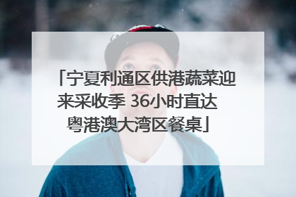 宁夏利通区供港蔬菜迎来采收季 36小时直达粤港澳大湾区餐桌