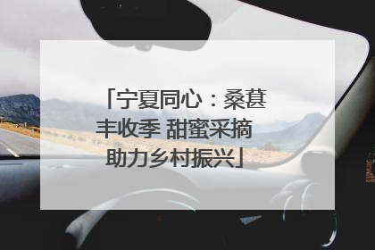 宁夏同心：桑葚丰收季 甜蜜采摘助力乡村振兴