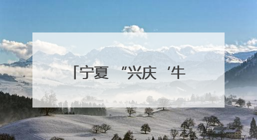 宁夏 “兴庆‘牛’礼为市民奶瓶子”增添更多选择
