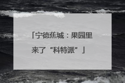 宁德蕉城：果园里来了“科特派”