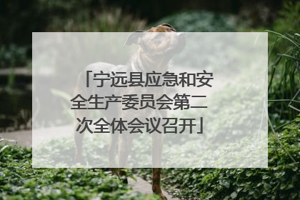 宁远县应急和安全生产委员会第二次全体会议召开