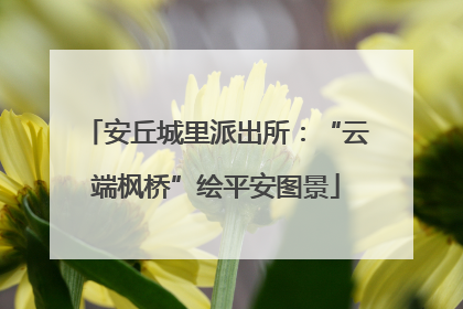 安丘城里派出所：“云端枫桥”绘平安图景