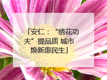 安仁：“绣花功夫”提品质 城市焕新惠民生