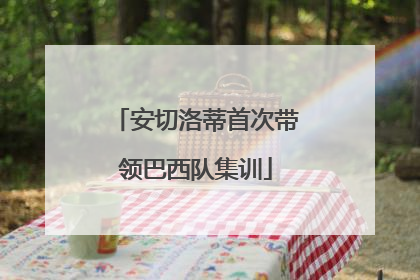 安切洛蒂首次带领巴西队集训