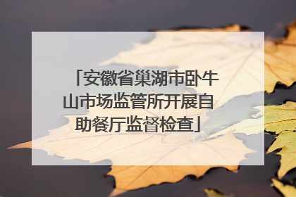 安徽省巢湖市卧牛山市场监管所开展自助餐厅监督检查