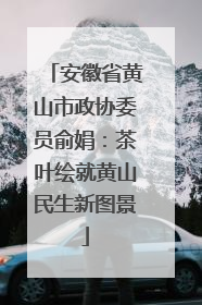 安徽省黄山市政协委员俞娟：茶叶绘就黄山民生新图景