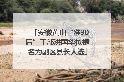 安徽黄山“准90后”干部洪国华拟提名为副区县长人选