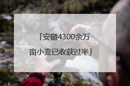 安徽4300余万亩小麦已收获过半