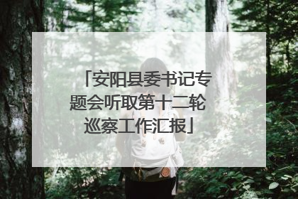 安阳县委书记专题会听取第十二轮巡察工作汇报