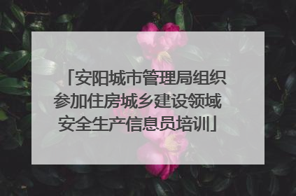 安阳城市管理局组织参加住房城乡建设领域安全生产信息员培训