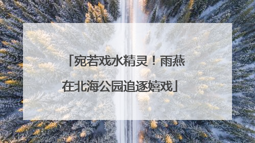 宛若戏水精灵！雨燕在北海公园追逐嬉戏