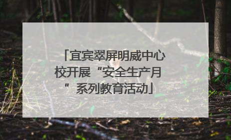 宜宾翠屏明威中心校开展“安全生产月”系列教育活动