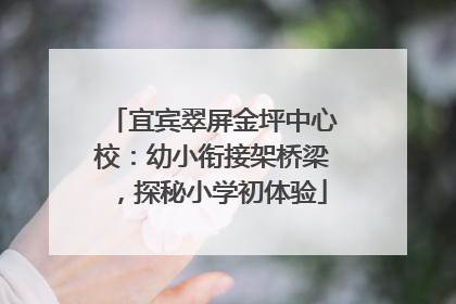 宜宾翠屏金坪中心校：幼小衔接架桥梁，探秘小学初体验