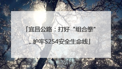 宜昌公路：打好“组合拳”，护牢S254安全生命线