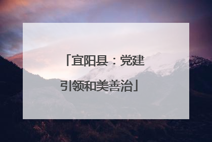 宜阳县：党建引领和美善治