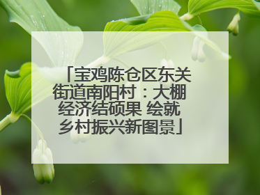 宝鸡陈仓区东关街道南阳村：大棚经济结硕果 绘就乡村振兴新图景
