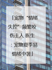 宠物“情绪失控”频繁咬伤主人 医生：宠物夏季易情绪中暑