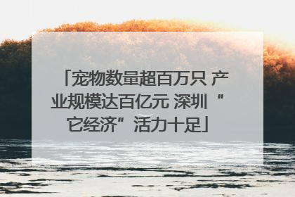 宠物数量超百万只 产业规模达百亿元 深圳“它经济”活力十足