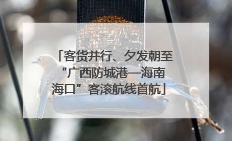 客货并行、夕发朝至 “广西防城港—海南海口”客滚航线首航