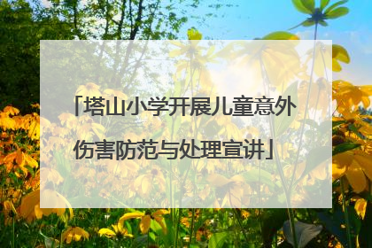 塔山小学开展儿童意外伤害防范与处理宣讲