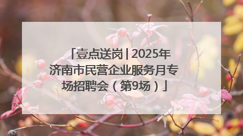 壹点送岗│2025年济南市民营企业服务月专场招聘会（第9场）