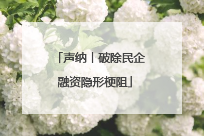 声纳丨破除民企融资隐形梗阻