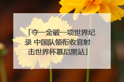 夺一金破一项世界纪录 中国队领衔收官射击世界杯慕尼黑站