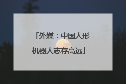 外媒：中国人形机器人志存高远