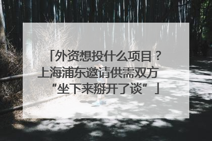 外资想投什么项目？上海浦东邀请供需双方“坐下来掰开了谈”