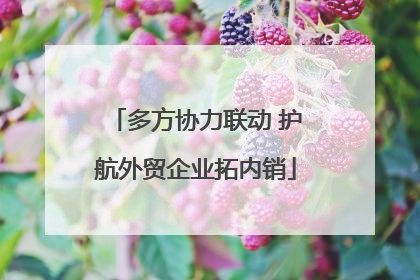 多方协力联动 护航外贸企业拓内销