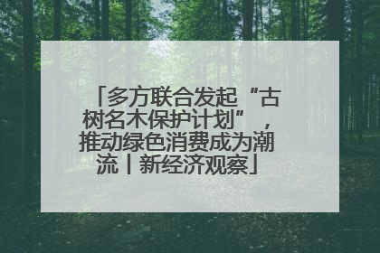 多方联合发起“古树名木保护计划”，推动绿色消费成为潮流丨新经济观察