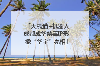 大熊猫+机器人 成都成华禁毒IP形象“华宝”亮相