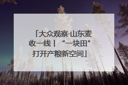 大众观察·山东麦收一线丨“一块田”打开产粮新空间