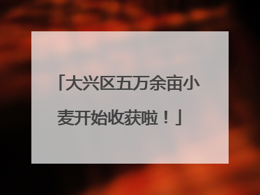 大兴区五万余亩小麦开始收获啦！