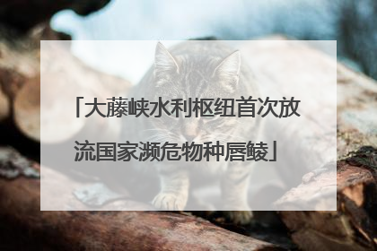 大藤峡水利枢纽首次放流国家濒危物种唇鲮