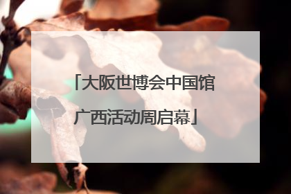 大阪世博会中国馆广西活动周启幕