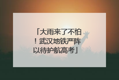 大雨来了不怕！武汉地铁严阵以待护航高考