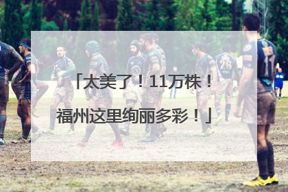 太美了！11万株！福州这里绚丽多彩！