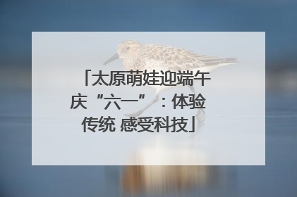 太原萌娃迎端午庆“六一”：体验传统 感受科技