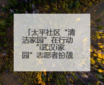 太平社区“清洁家园”在行动 “i武汉i家园”志愿者扮靓社区